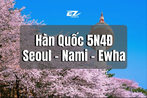 Hoa Anh đào 2 HQ (1)